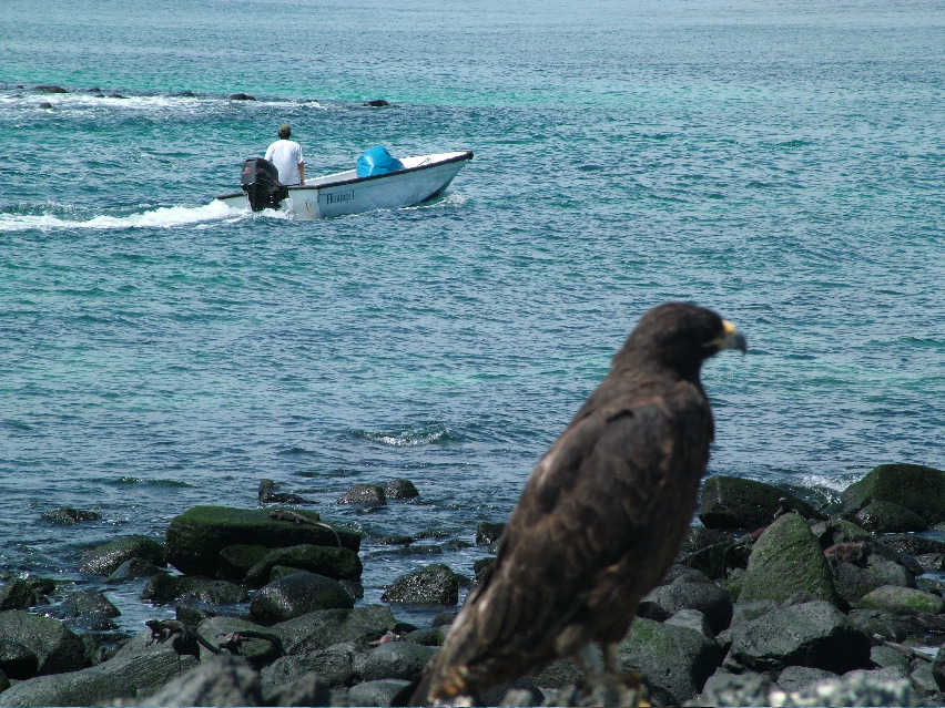 DSCF3650.JPG
