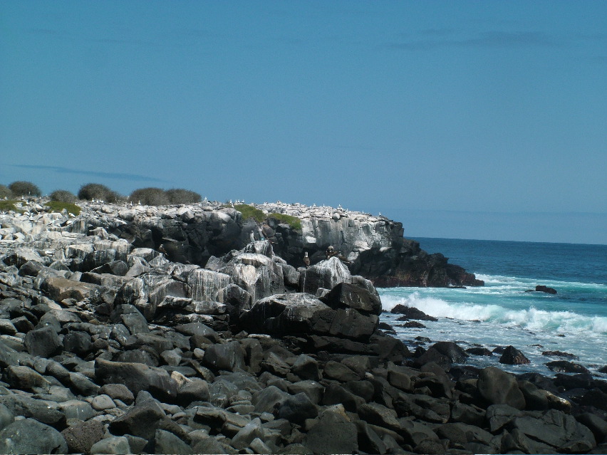 DSCF3652.JPG