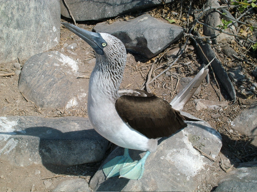 DSCF3654.JPG
