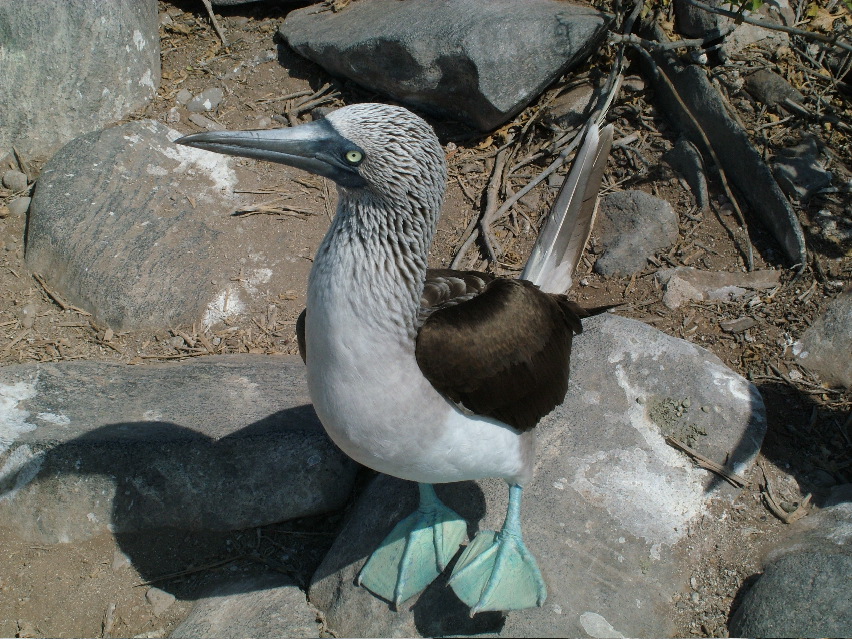 DSCF3655.JPG