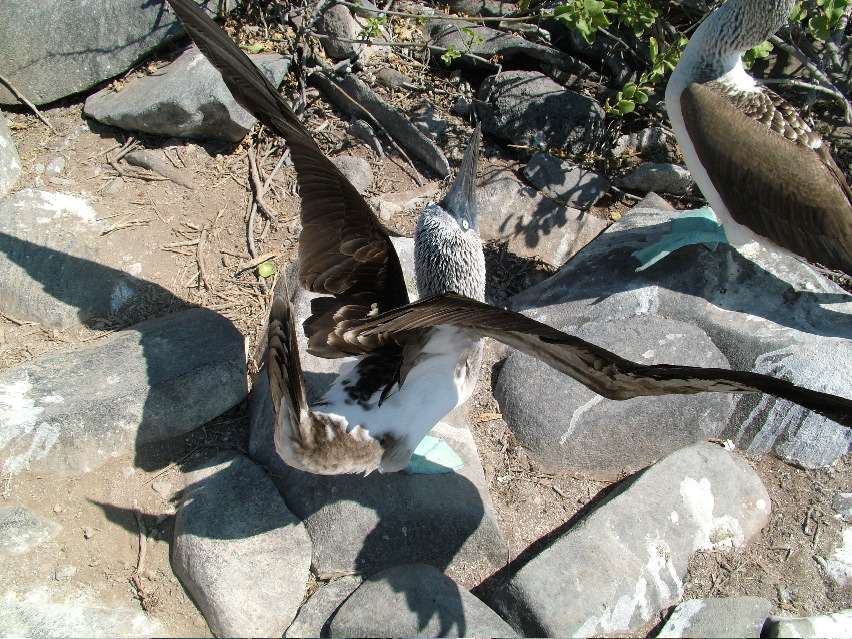 DSCF3658.JPG