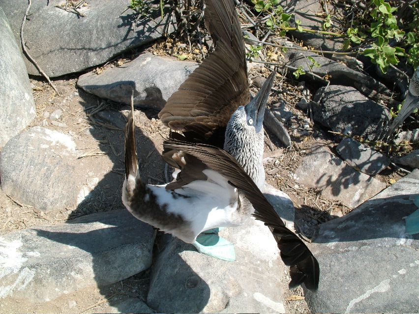 DSCF3659.JPG