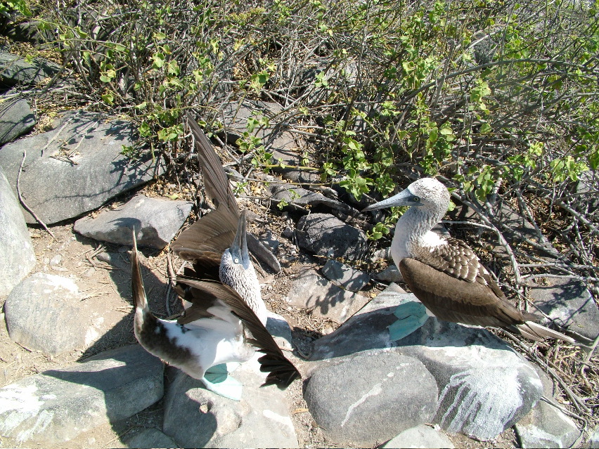 DSCF3660.JPG