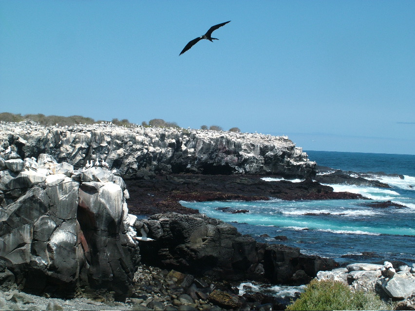 DSCF3661.JPG