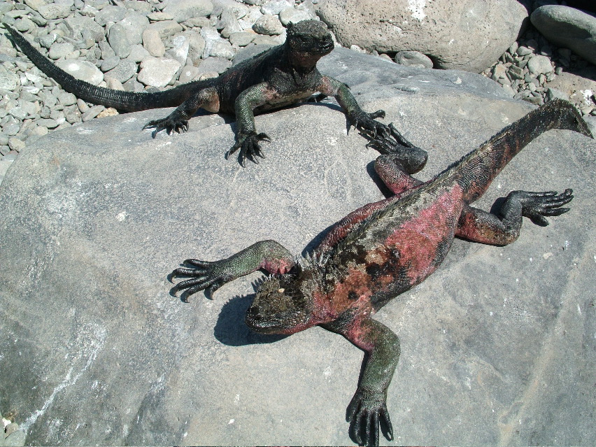 DSCF3664.JPG