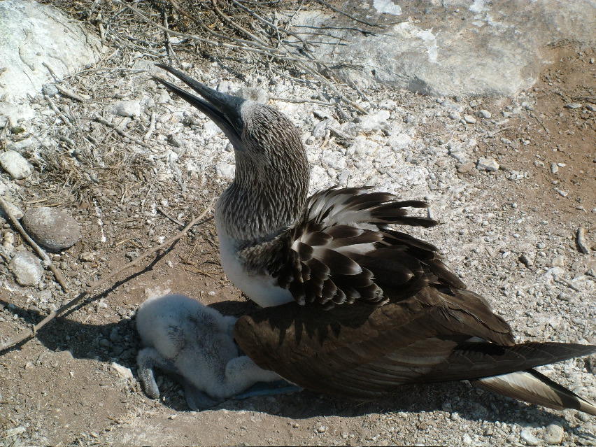 DSCF3668.JPG