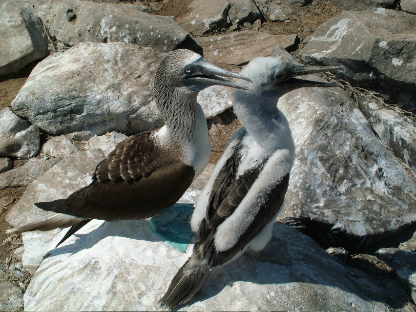 DSCF3670.JPG