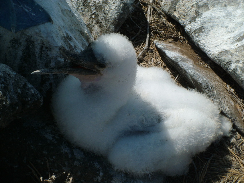 DSCF3671.JPG