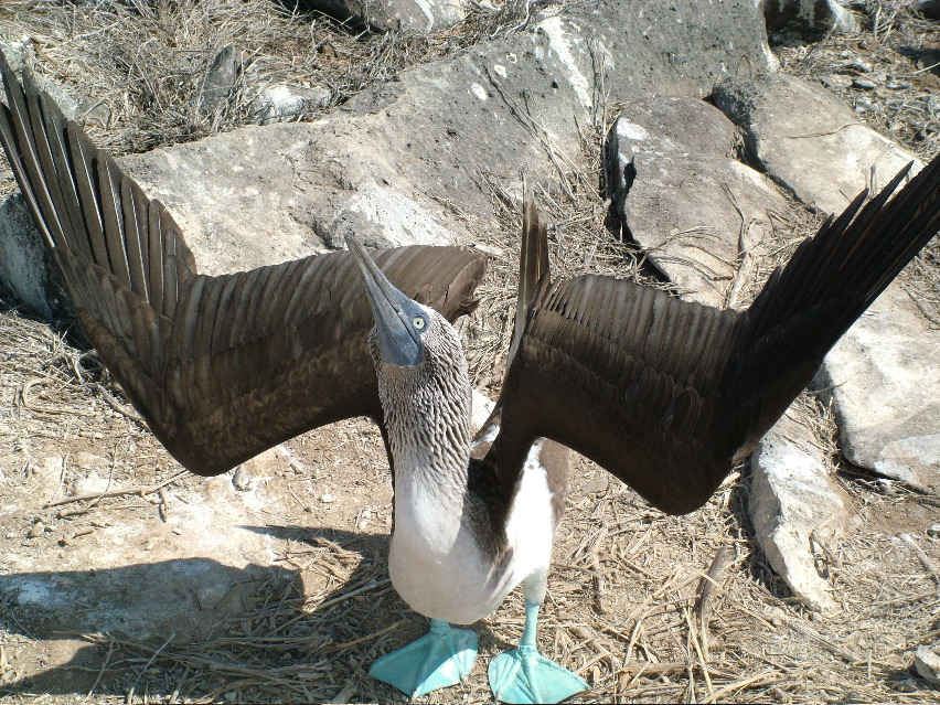 DSCF3672.JPG
