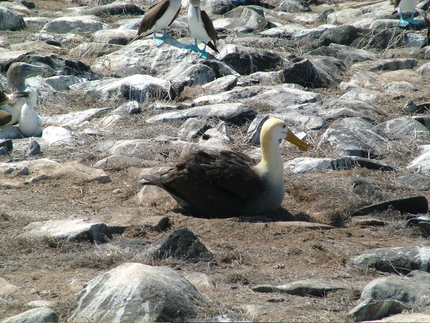 DSCF3673.JPG