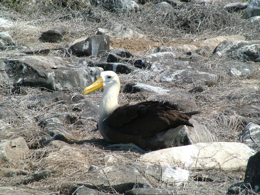 DSCF3674.JPG