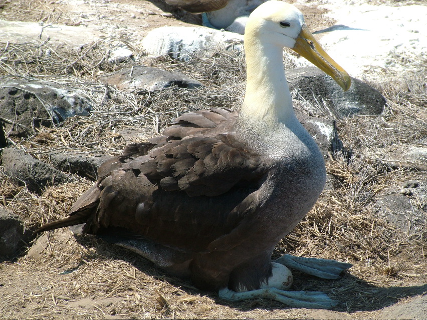DSCF3676.JPG
