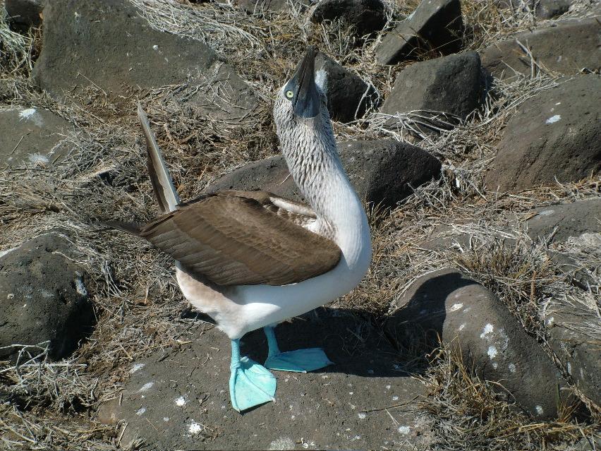 DSCF3677.JPG