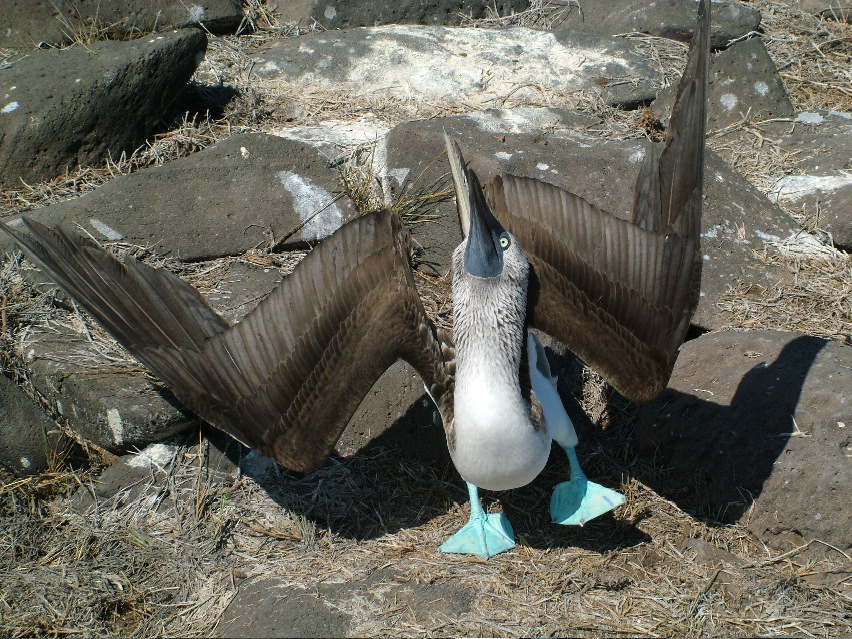 DSCF3678.JPG