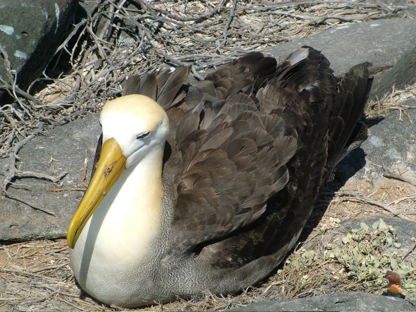 DSCF3679.JPG