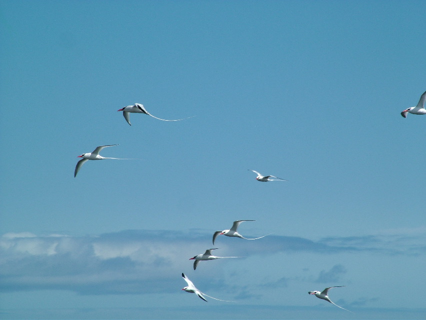 DSCF3680.JPG