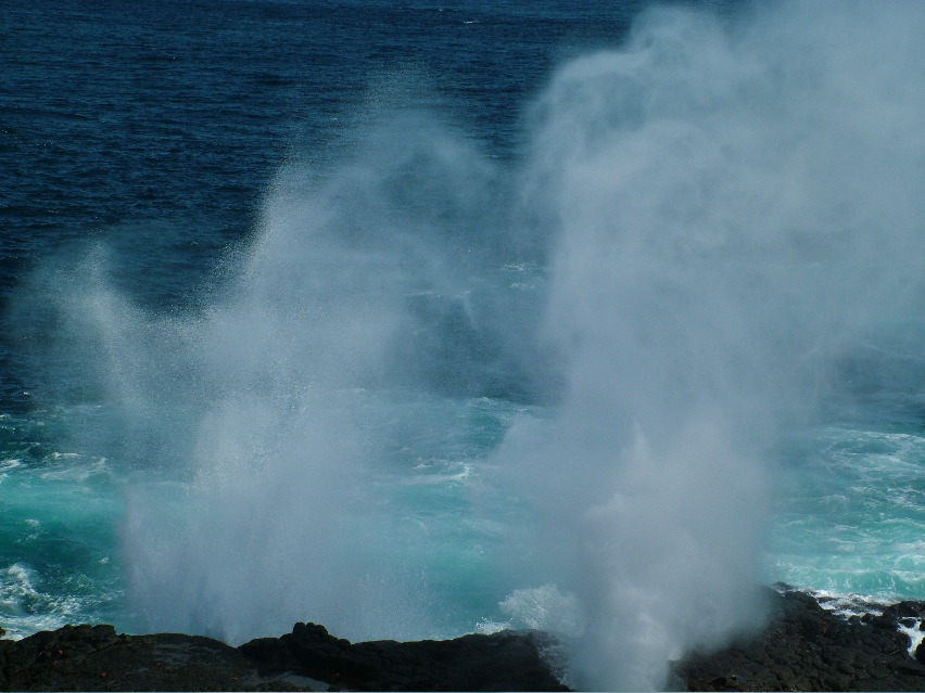 DSCF3682.JPG