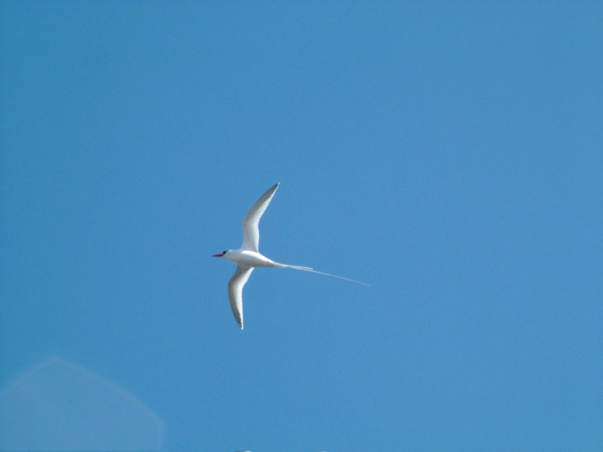 DSCF3683.JPG