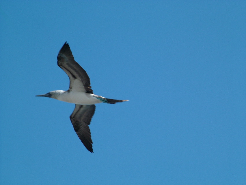 DSCF3684.JPG