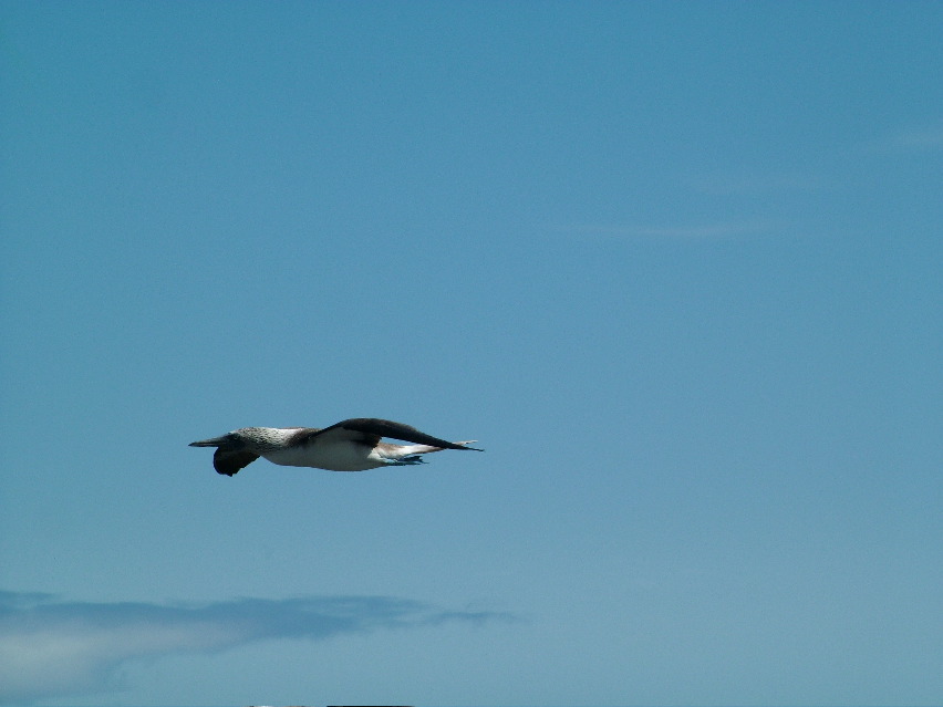 DSCF3685.JPG
