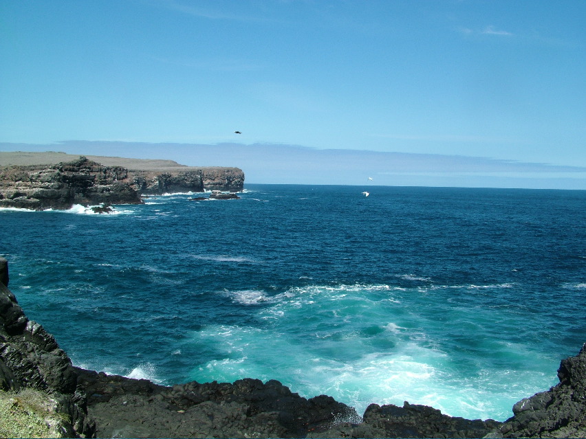 DSCF3686.JPG