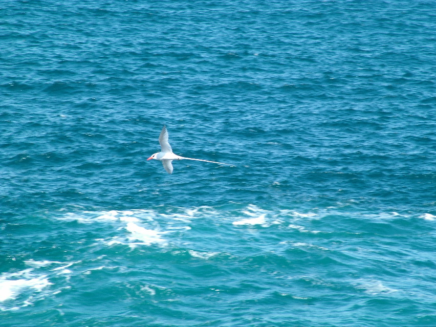 DSCF3687.JPG