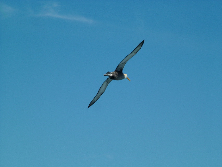 DSCF3688.JPG