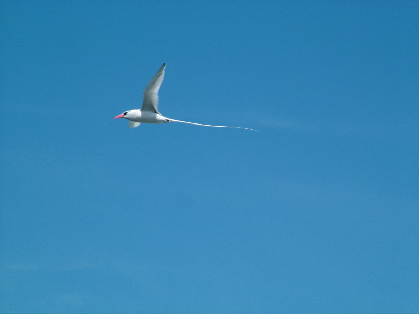 DSCF3689.JPG