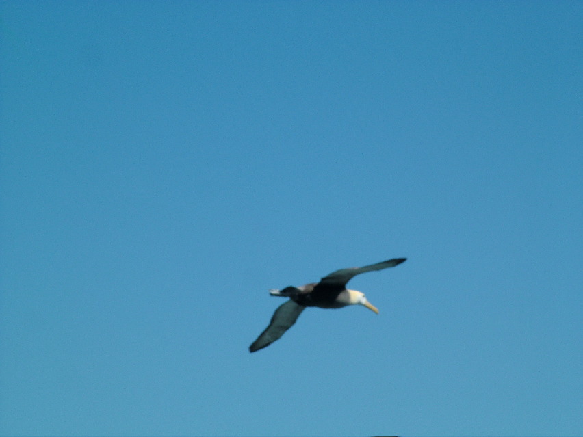 DSCF3690.JPG