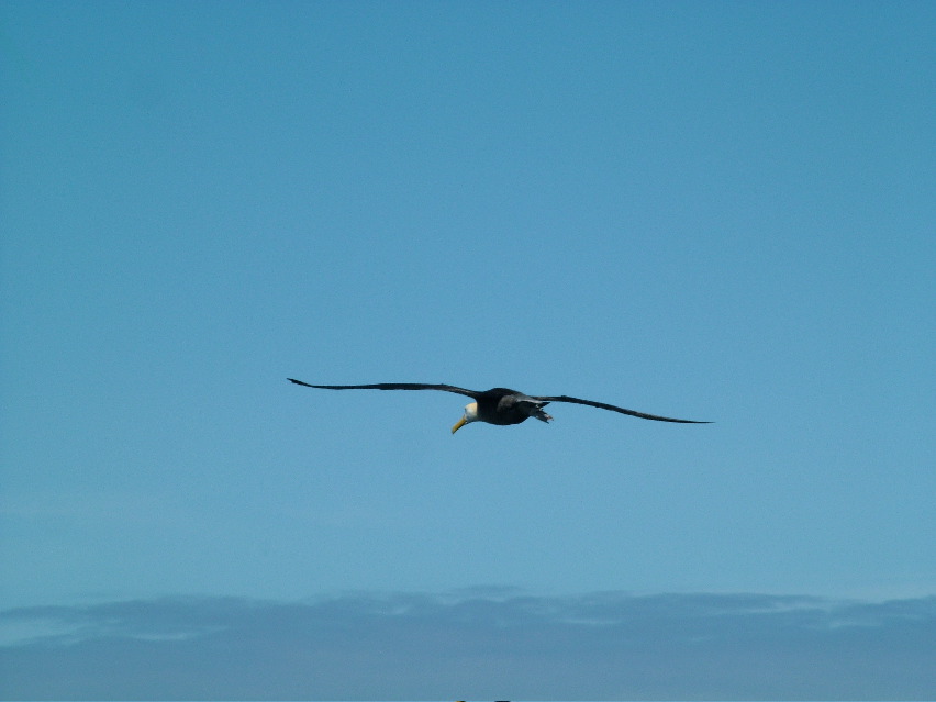 DSCF3691.JPG