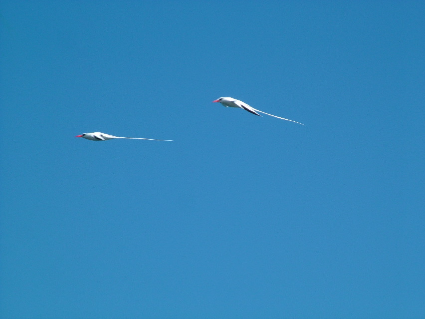 DSCF3692.JPG