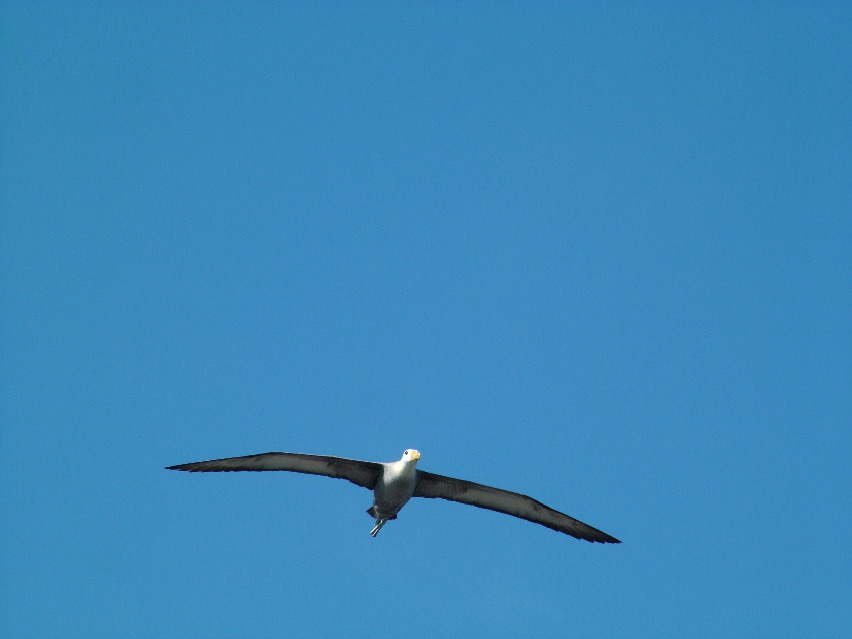 DSCF3694.JPG