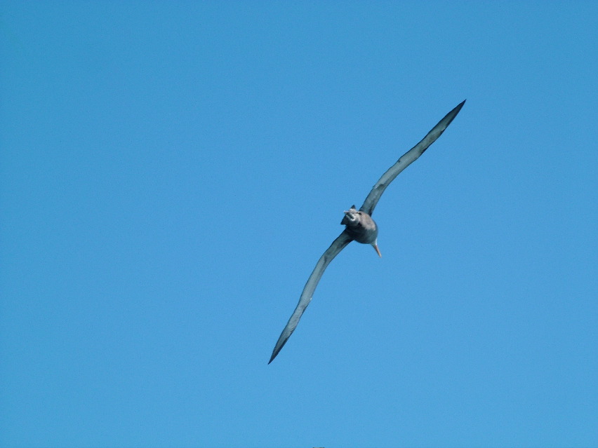 DSCF3695.JPG