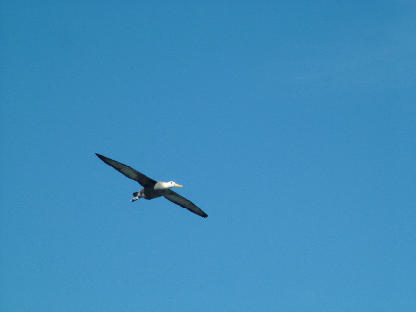 DSCF3696.JPG