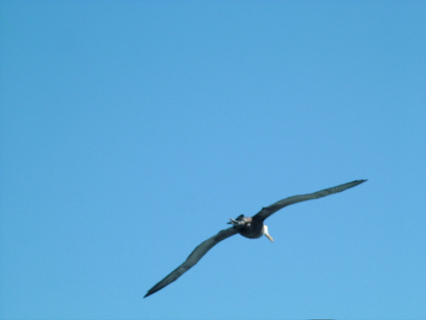 DSCF3697.JPG