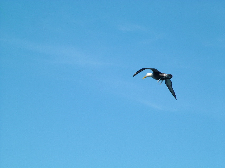 DSCF3698.JPG