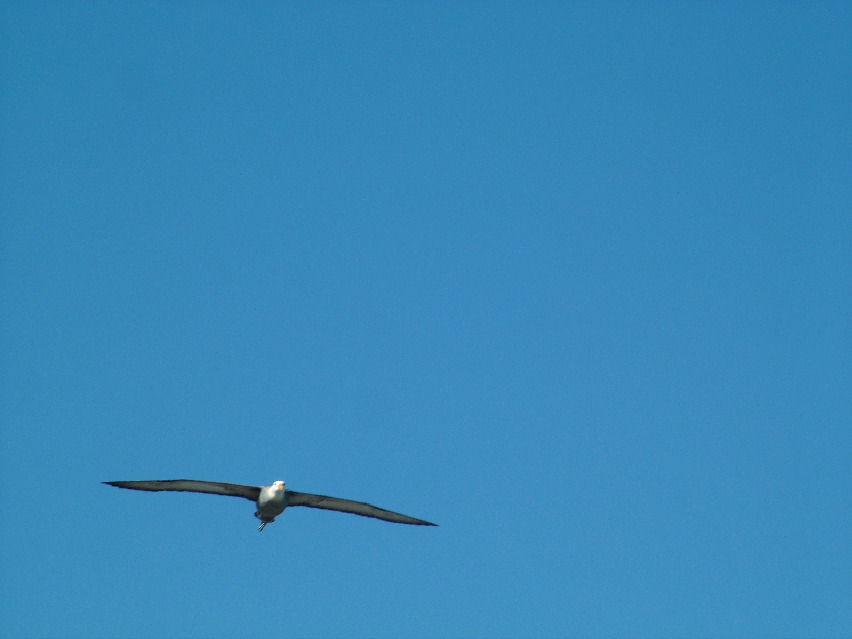 DSCF3699.JPG
