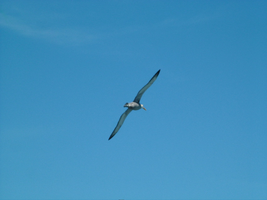 DSCF3700.JPG
