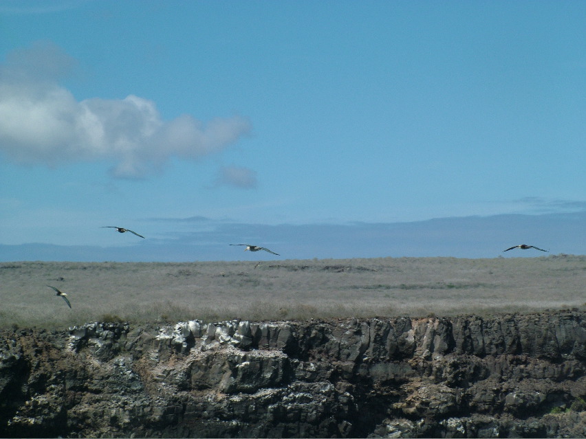 DSCF3702.JPG