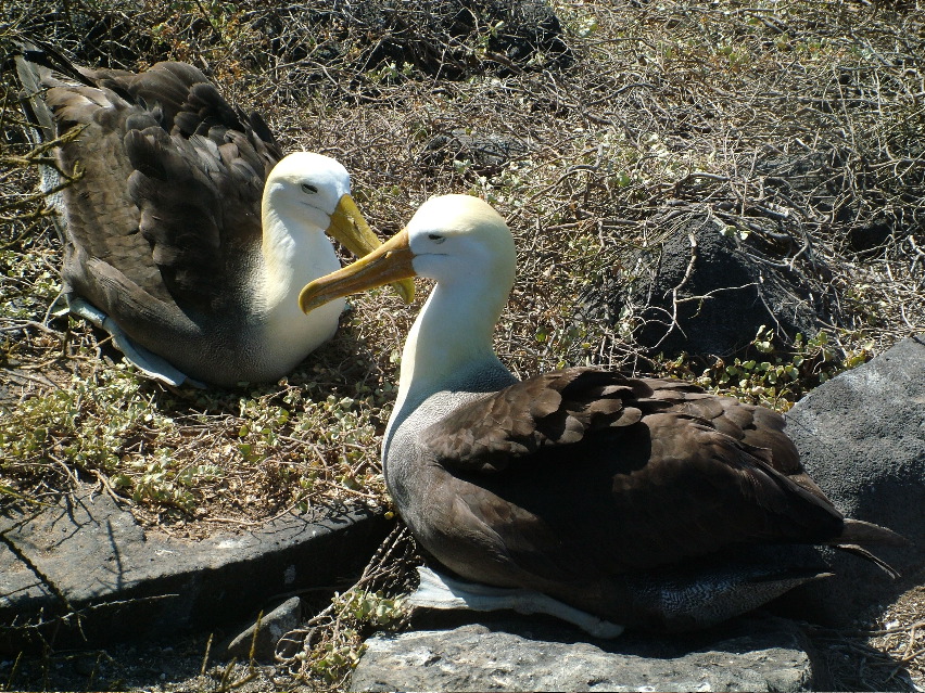 DSCF3703.JPG