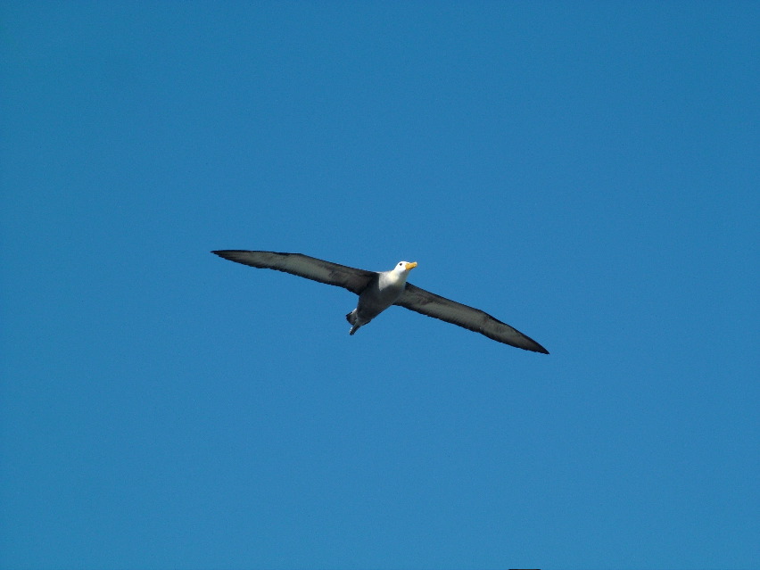 DSCF3705.JPG