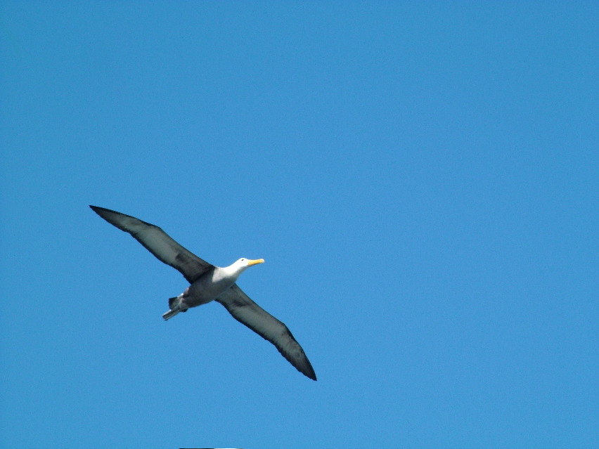 DSCF3706.JPG