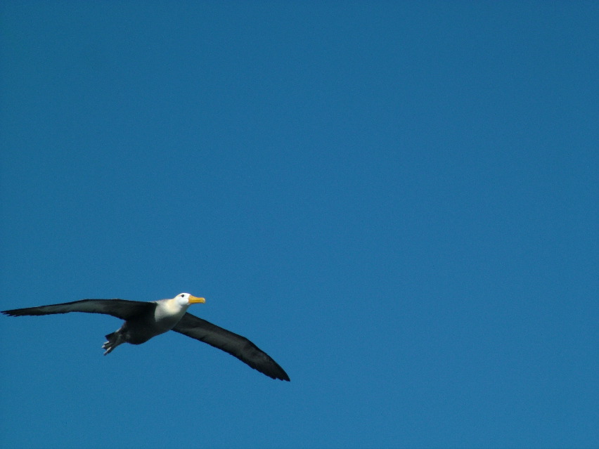 DSCF3707.JPG