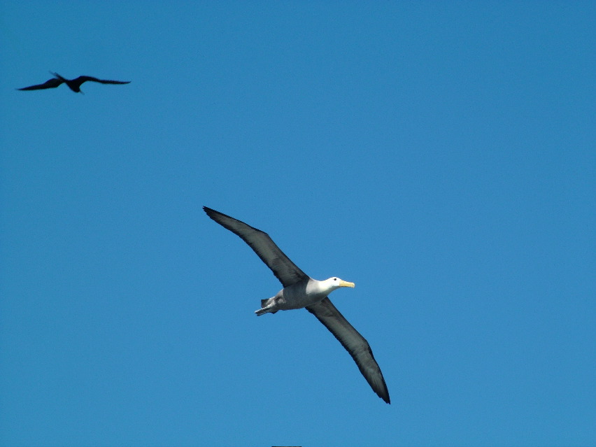 DSCF3708.JPG