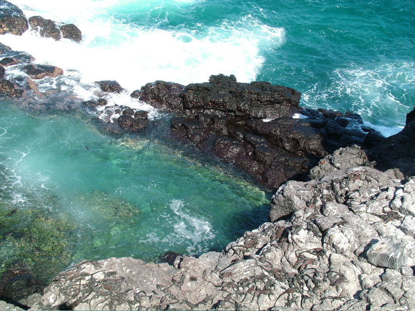 DSCF3709.JPG