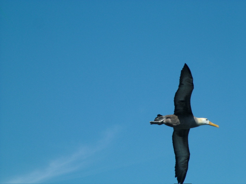 DSCF3710.JPG