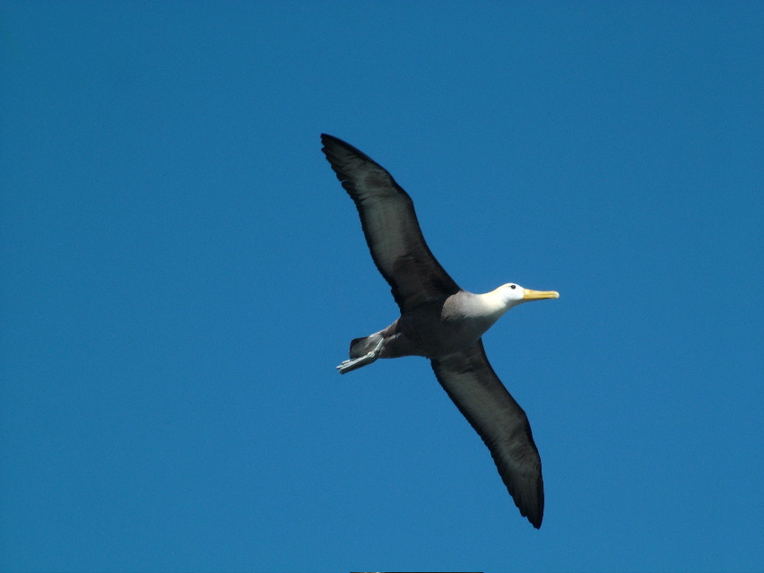 DSCF3712.JPG