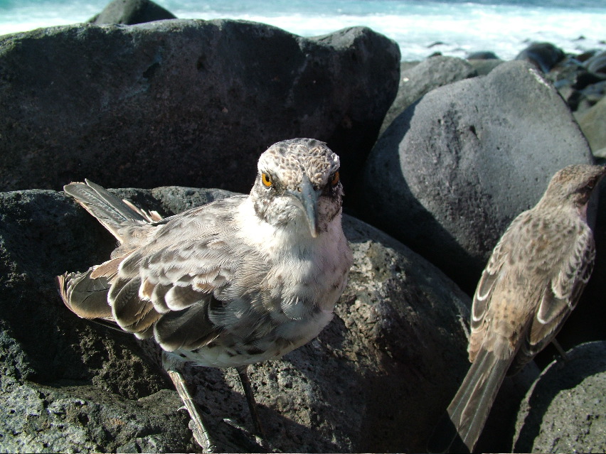 DSCF3714.JPG