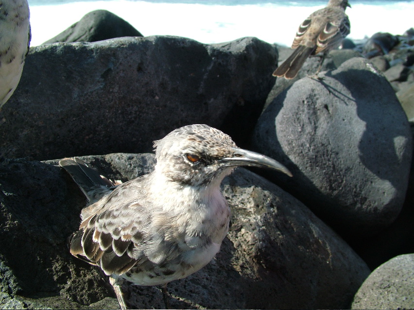 DSCF3715.JPG