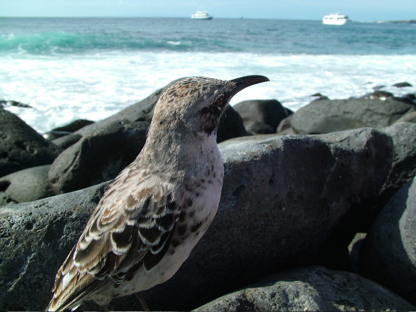 DSCF3716.JPG